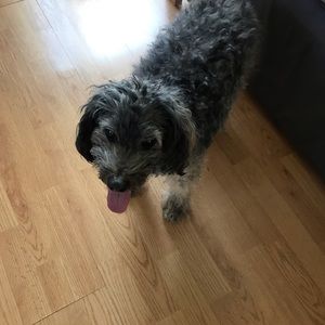 Meet your Posher, Jill